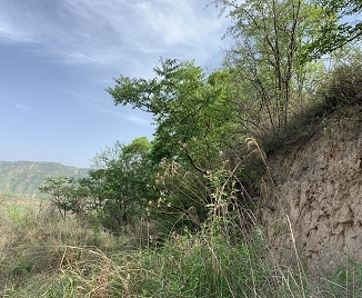 黄陵县输水工程项目暂时占用林地可行性报告