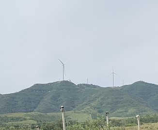 风电项目占用林地可行性报告现场勘探